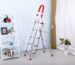 Ladders Suppliers in UAE